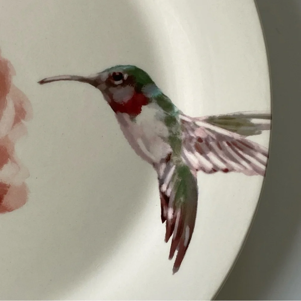 Pier 1 Imports Hummingbird Plate Ceramic 8.75” Lunch Decor birds Ruby Throated
